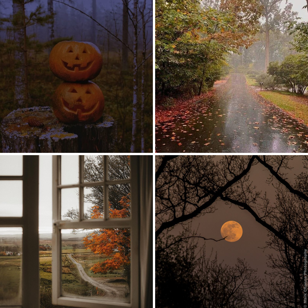 Autumn Nights 8oz Candle – Rockaway Candle Co