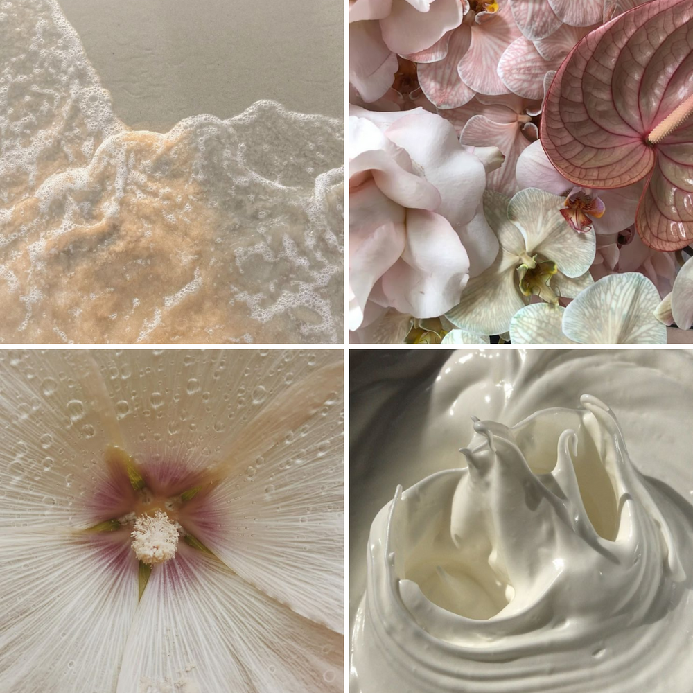 
                  
                    Coastal Magnolia Reed Diffuser
                  
                