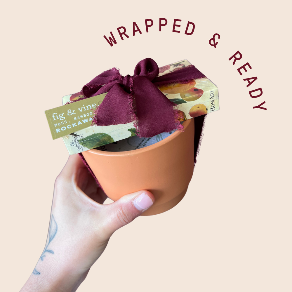 
                  
                    Terra Specialty Candles
                  
                