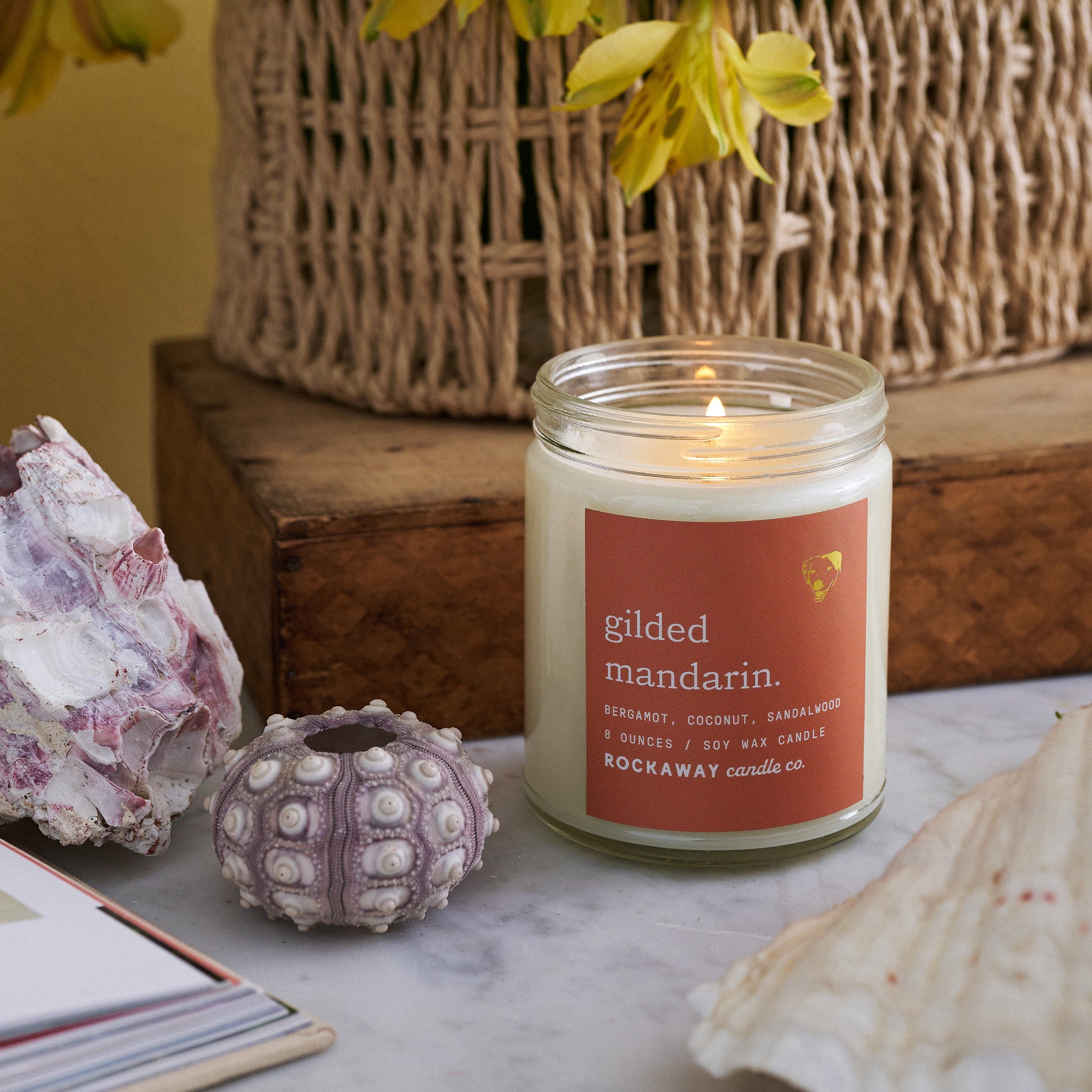 Gilded Mandarin 8oz Candle – Rockaway Candle Co