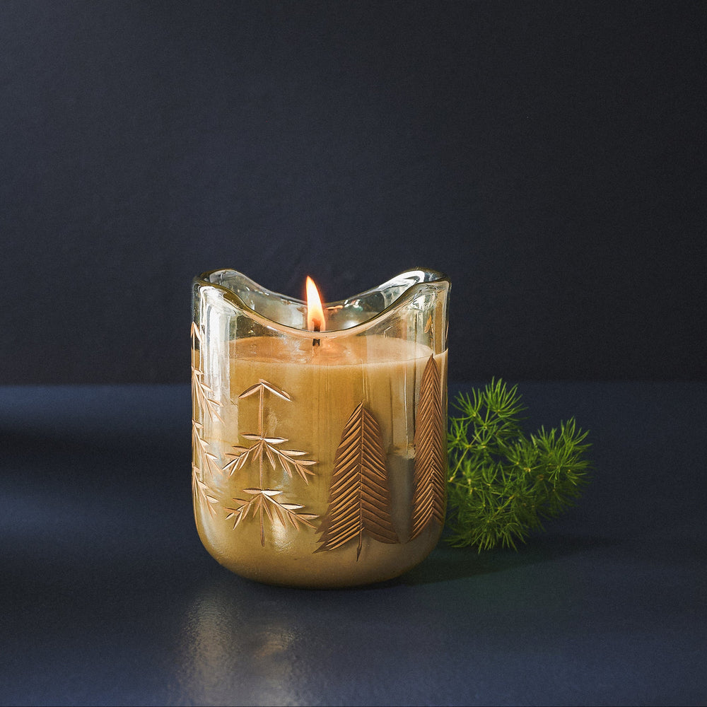 Candle in a glass holder with tree design on a dark background