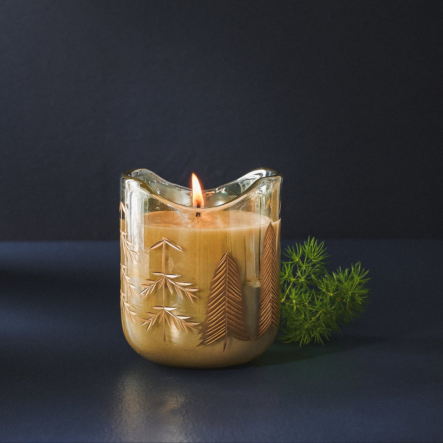Candle in a glass holder with tree design on a dark background