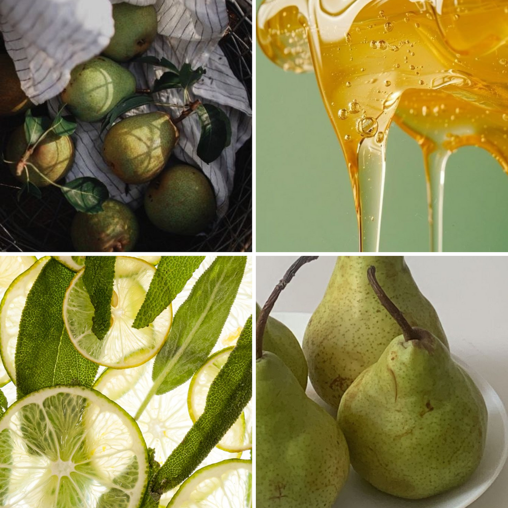 
                  
                    Prickly Pear Reed Diffuser
                  
                