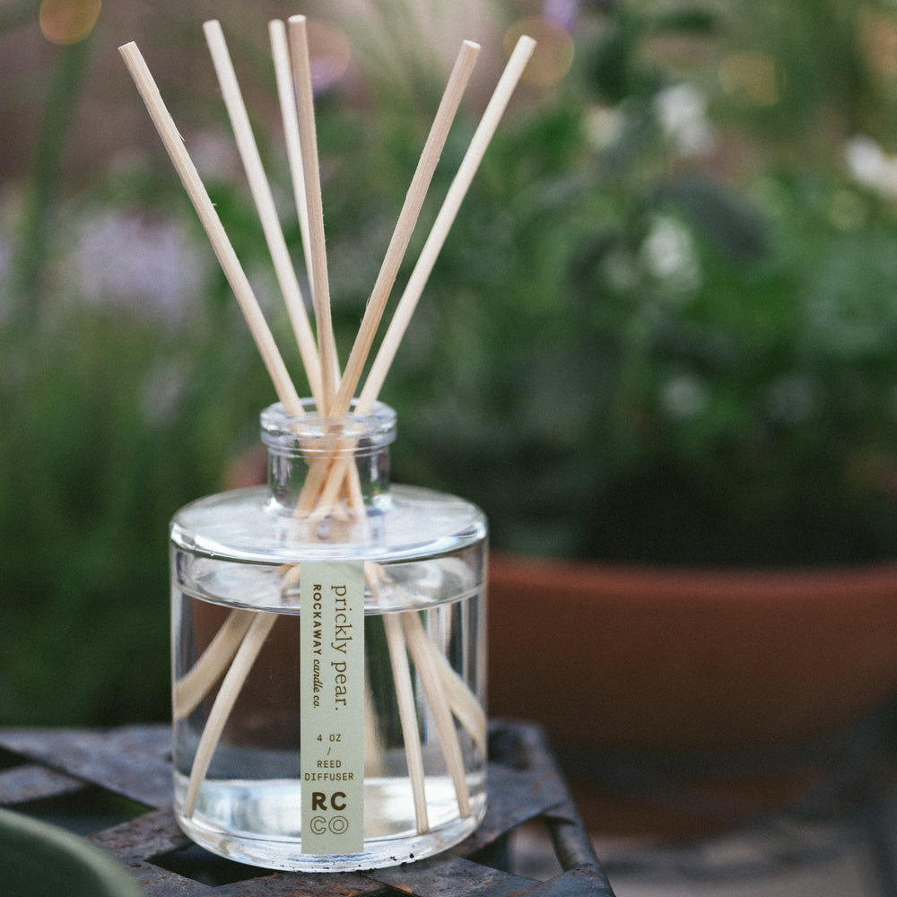 
                  
                    Prickly Pear Reed Diffuser
                  
                