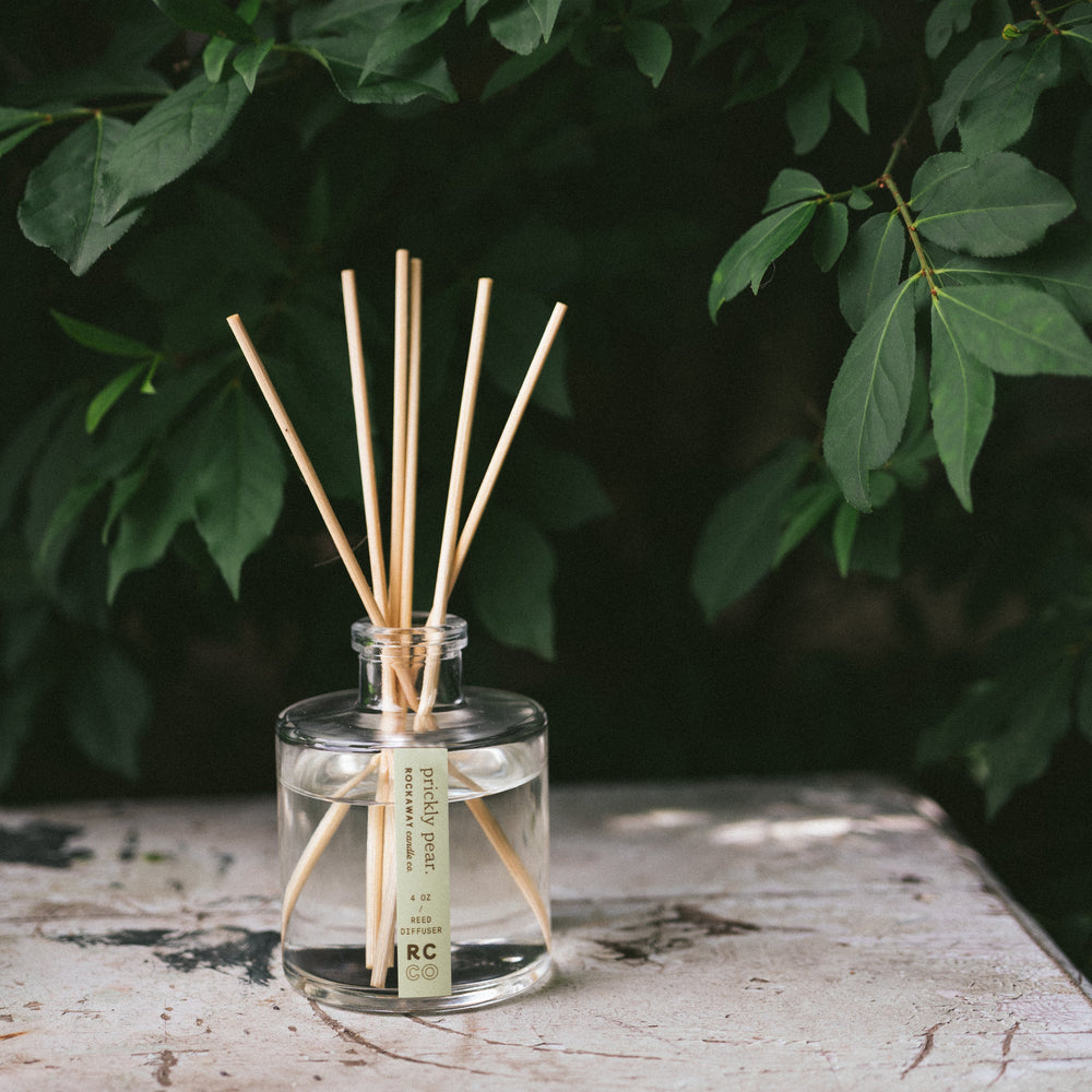 
                  
                    Prickly Pear Reed Diffuser
                  
                